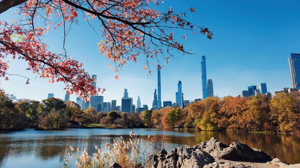 Photo — Central Park